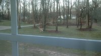 20200329_073812.jpg