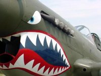 p40_warhawk_large.jpg
