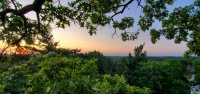 20190725_204613.jpg 20190725_204613.jpg