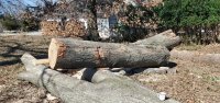 20200308_112847.jpg