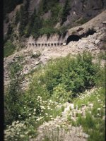 IMG_4747 (Large).JPG