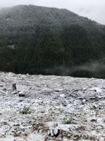 41635260-AE9B-4BB0-B183-0B6CEFA5E4CA.jpeg