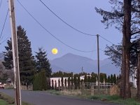 8B1F7909-EA86-450A-8A7F-0419D098F1F6.jpeg