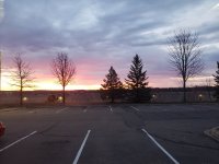 20200408_063601.jpg