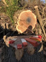 68B65487-12EE-42AD-AE3B-9D5B978EEAD9.jpeg