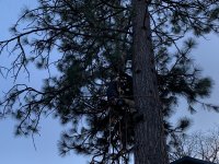 19F7806A-5B5C-49FB-A7E2-C983BC76381F.jpeg