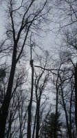 imagejpeg_0(92).jpg