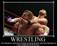 952965846-Demotivational-pictures-wrestling.jpg