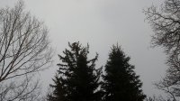 20200414_181952.jpg