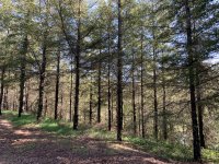 5F418374-65DA-4F05-93AA-4A57BD2D68B5.jpeg
