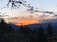 22605D93-EBB5-453A-8DEB-564B0498DA49.jpeg