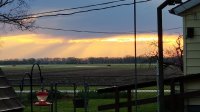 20200420_070118.jpg