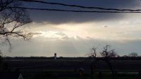 20200420_072921.jpg