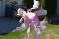 DSC00620.JPG