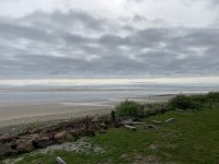 A0341D6B-C72C-4425-A8FF-A7319880151C.jpeg