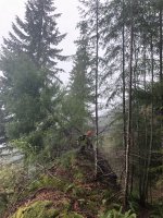 1736753D-3BD9-486B-9215-B0235585356B.jpeg