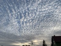 7E4FF240-D26F-4AEA-BED3-526D30E9444C.jpeg