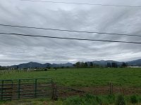 FF2273FA-D9D2-411C-AE24-7541C926BFDC.jpeg