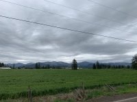 30ECF2B7-364D-404D-BBB7-5C3DD34E70C2.jpeg