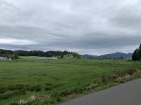 4C479B83-5118-4397-AA14-5CF272CBF750.jpeg