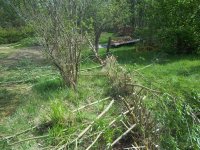 100_0650.JPG