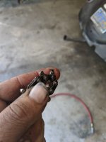 IMG_20200505_144712.jpg