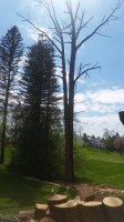 20200502_144504.jpg