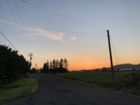 4B5F795D-AC9E-43E2-A9B5-5321DB0DA78B.jpeg