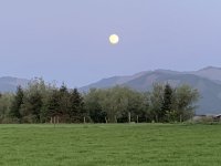 3451FC04-3EF9-4B06-A745-2317255020AE.jpeg