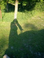DSC02219.JPG