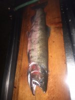 IMG_20200508_214132156.jpg
