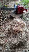 IMG_20160611_130332229.jpg