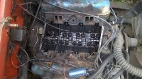 WP_20160611_001.jpg