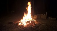 WP_20160612_18_20_01_Pro.jpg