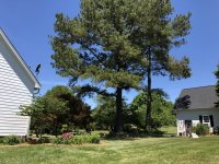 6AC8622D-0CAD-4272-82F7-CE72DC1B1140.jpeg