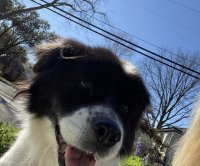 3A725736-3B98-4CD2-8AC4-B949D9D27D8C.jpeg