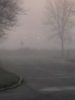 F4251600-BA8D-4AD7-8D0B-164F70D545A6.jpeg