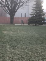 0B1D5648-DDFA-4EB5-983F-F24F0ADEF6A8.jpeg