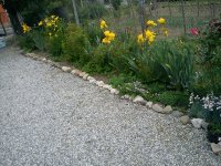DSC02345.JPG