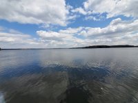 20200418_150502.jpg
