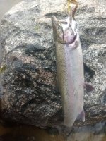 IMG_20200517_204357496.jpg