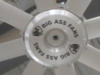 IMG_20200518_130940657.jpg