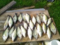 IMG_20200519_175042.jpg