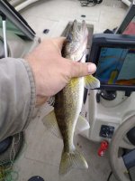 IMG_20200519_104008.jpg