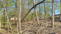 IMG_20200504_082332.jpg