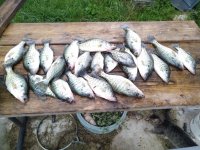 IMG_20200521_170941.jpg
