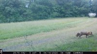 IMG_0086.JPG