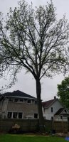 20200522_094034.jpg
