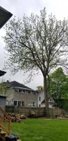 20200522_094058.jpg