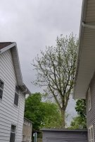 20200522_180141.jpg